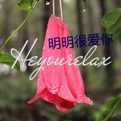 明明很爱(ài)你(nǐ)