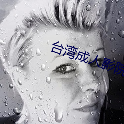 台湾(灣)成(成)人影院