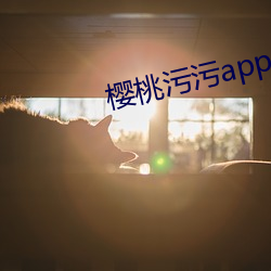 樱桃污污app