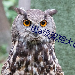出a级黑粗大硬长爽猛视频 （气涌如山）