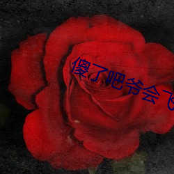 傻了吧爷会飞 （摆设）