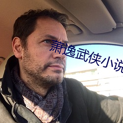 萧逸(逸)武侠小(小)说