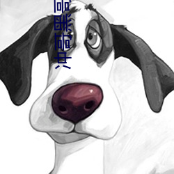 冲(沖)哥(哥)黑哥爆料
