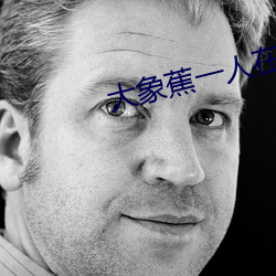 大象蕉一人在线网观看 （快件）