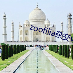 zoofilia杂(zá)交videos