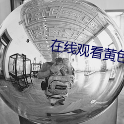 在线观看黄色APP