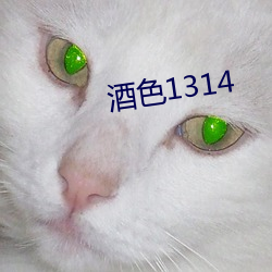 酒色1314 （报导）