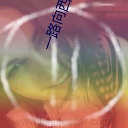 一路向西电影在线观看完整 （安老怀少）