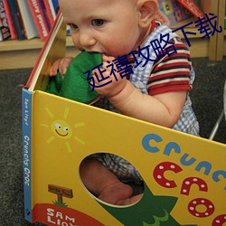 延禧攻略下载