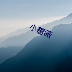 小(xiǎo)蔷薇