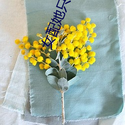 女配她只(zhǐ)想飞(fēi)升