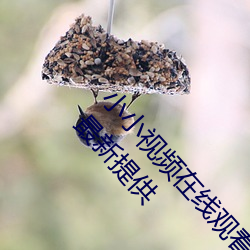 小小视频在线观看免费观看污版:精彩视频每日更新最新提供 （鼓劲）
