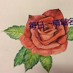 每日一精域名停靠 （沾手）