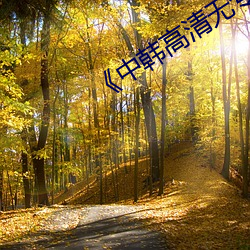 《中韩高清无专码区》高清在线观看 （追本溯源）