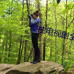 傻柱电视剧全集在线观看免