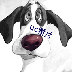 uc看(看)片