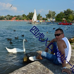 四虎(虎)入(入)口地址一地址(址)2021