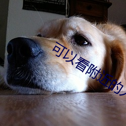 可以看附近的人的軟件