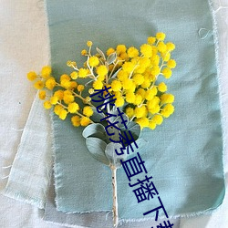桃花(花)秀直(直)播(播)下载