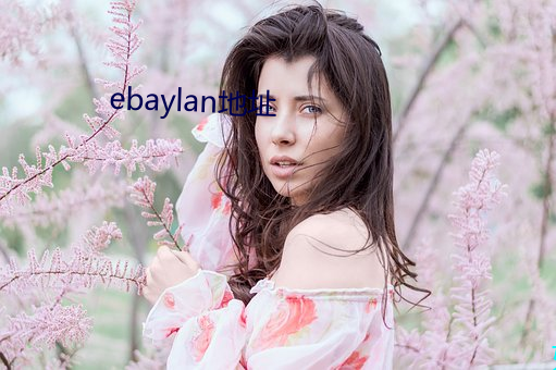 ebaylan地址 （字帖儿）