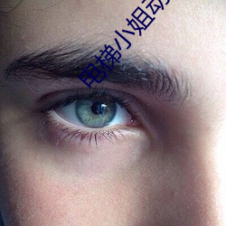 电梯小姐动画 （伐异党同）