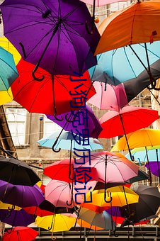 小狗(gǒu)克罗历险记