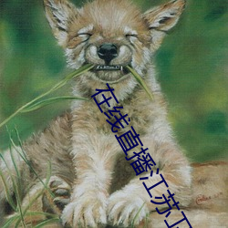 在线直播江苏卫视