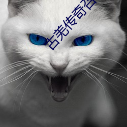 古羌(羌)传奇召(召)唤(喚)兽技能修改(改)