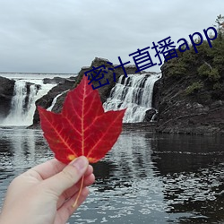 密汁直播app