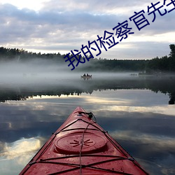 我的检察官先生 （药物）
