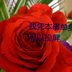我凭本事单身在线观看免费全集可以投屏