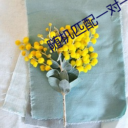 随机匹配(pèi)一对一语音
