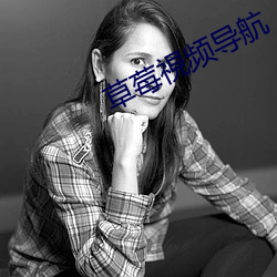 草莓視頻導航