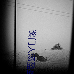 獎門人湯盈盈日本