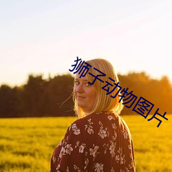 狮子(子)动(動)物图片(片)