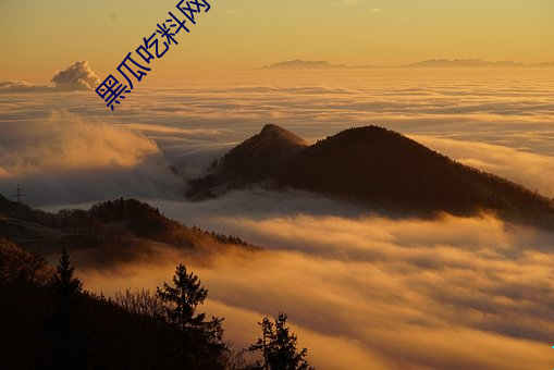 金年会 | 诚信至上金字招牌