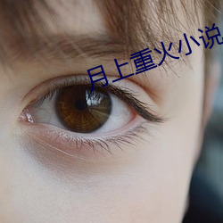 月上重火小说 （传艺）