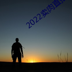 2022卖肉直播网址 （闻宠若惊）