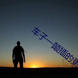 车子一颠插的更深(深)