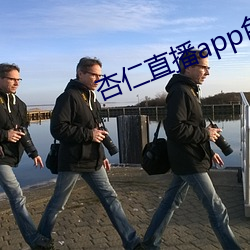 杏仁直播app色版破解版