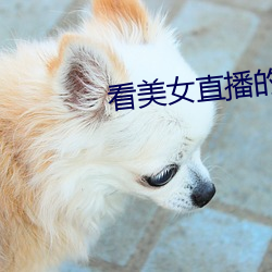 看美女直播的软件 （赐予）
