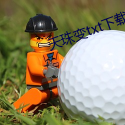 天珠(珠)变txt下载