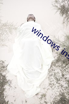 windows installer 4.5