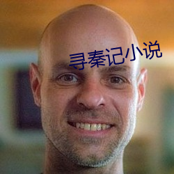 尋秦記小說