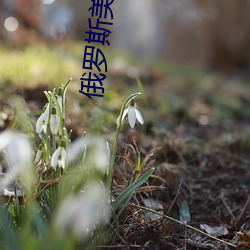 俄罗斯美女与狗交配