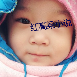 红高粱小说 （开心丸儿）