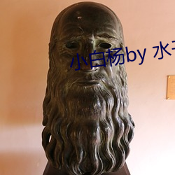 小(xiǎo)白(bái)杨by 水千(qiān)丞