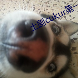 土剧cukur第一季网盘