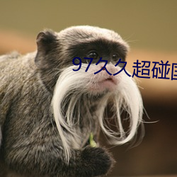 97久久超碰国(guó)产(chǎn)精品…