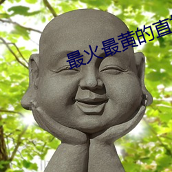 最火(火)最(最)黄的(的)直播